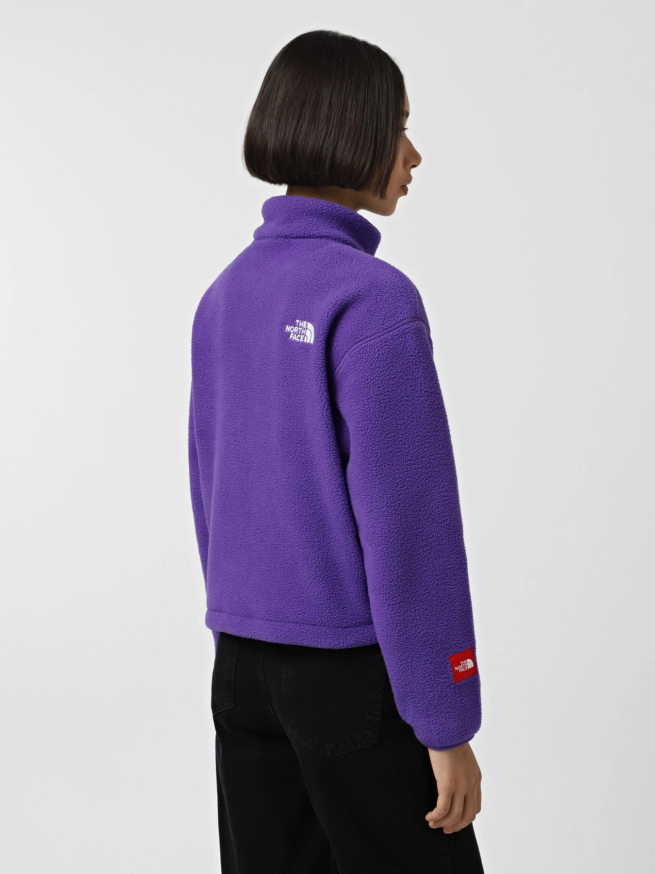 Худи и свитшоты The North Face Fleeski модель NF0A88Z2NL41 Фото