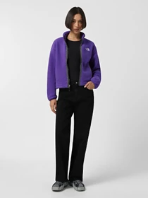 Худи и свитшоты The North Face Fleeski модель NF0A88Z2NL41 Фото