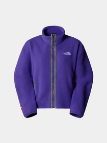 Худи и свитшоты The North Face Fleeski модель NF0A88Z2NL41 Фото