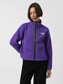 Худи и свитшоты The North Face Fleeski модель NF0A88Z2NL41 Фото