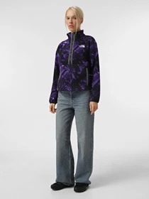 Худи и свитшоты The North Face Fleeski 1/4 Zip модель NF0A88Z33VI1 Фото