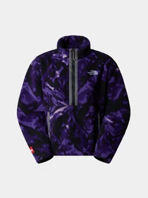 Худи и свитшоты The North Face Fleeski 1/4 Zip модель NF0A88Z33VI1 Фото