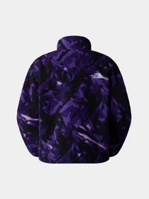 Худи и свитшоты The North Face Fleeski 1/4 Zip модель NF0A88Z33VI1 Фото