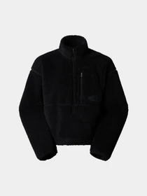 Худи и свитшоты The North Face Extreme Pile модель NF0A88ZCJK31 Фото