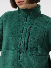 Худі та світшоти The North Face Extreme Pile модель NF0A88ZCS9W1 Фото
