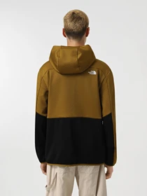 Худі та світшоти The North Face Merak модель NF0A3YG55HO1 Фото