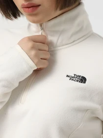 Худи и свитшоты The North Face Resolve Fleece модель NF0A4SVXQLI1 Фото