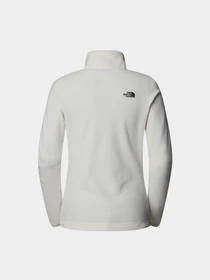 Худи и свитшоты The North Face Resolve Fleece модель NF0A4SVXQLI1 Фото