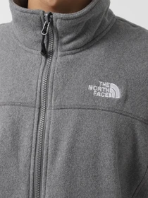Куртки та дублянки The North Face 100 Glacier модель NF0A7SSLDYY1 Фото