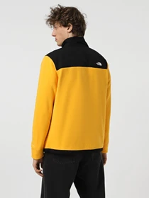 Худи и свитшоты The North Face Alpine Polartec 200 модель NF0A7WWL4WP1 Фото