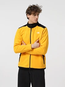 Худі та світшоти The North Face Alpine Polartec 200 модель NF0A7WWL4WP1 Фото