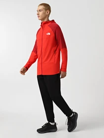 Худи и свитшоты The North Face Bolt Polartec модель NF0A825E7IR1 Фото