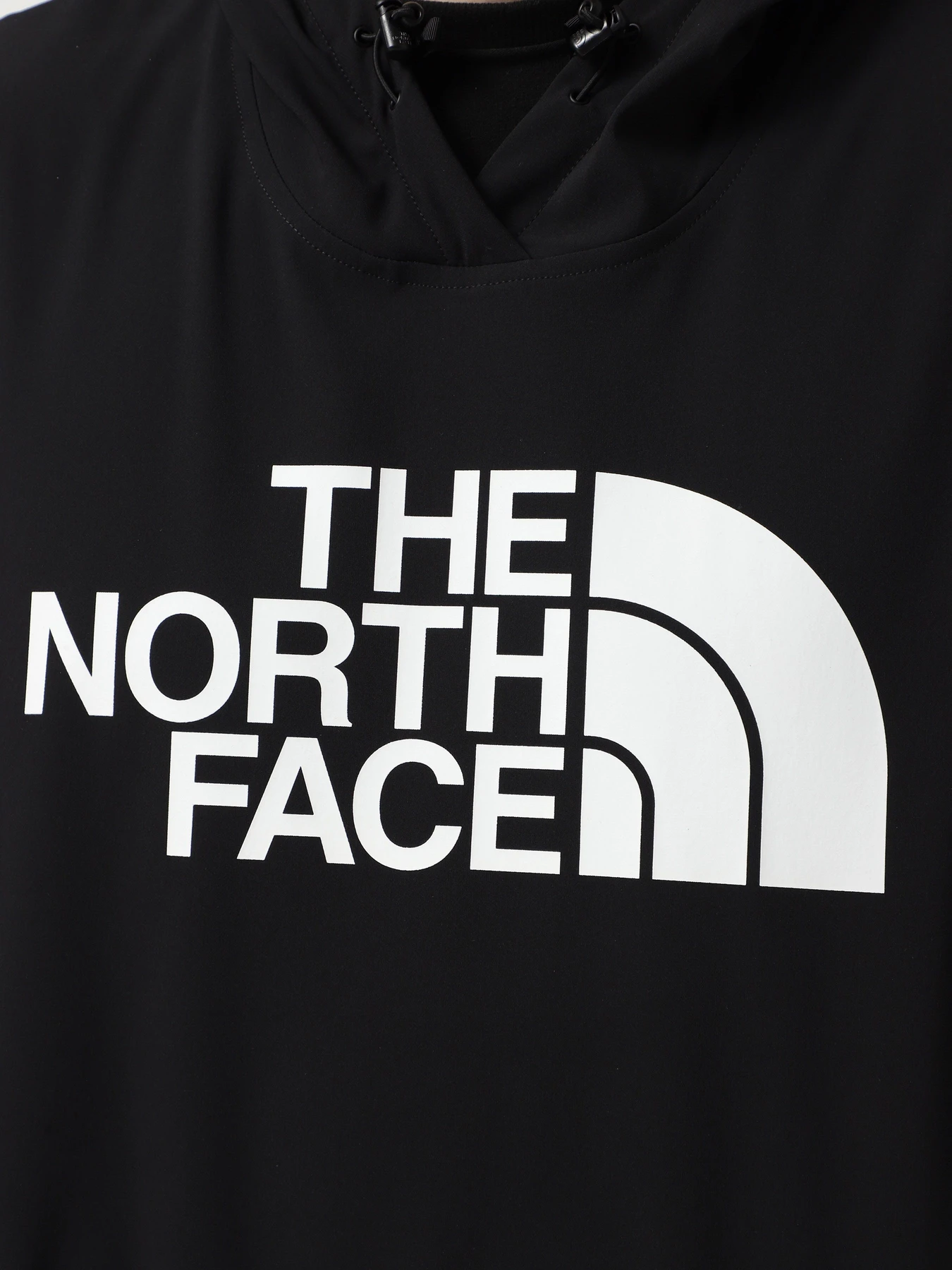 Худі та світшоти The North Face Tekno Logo модель NF0A82V64H01 Худі та світшоти The North Face Tekno Logo модель NF0A82V64H01 Фото