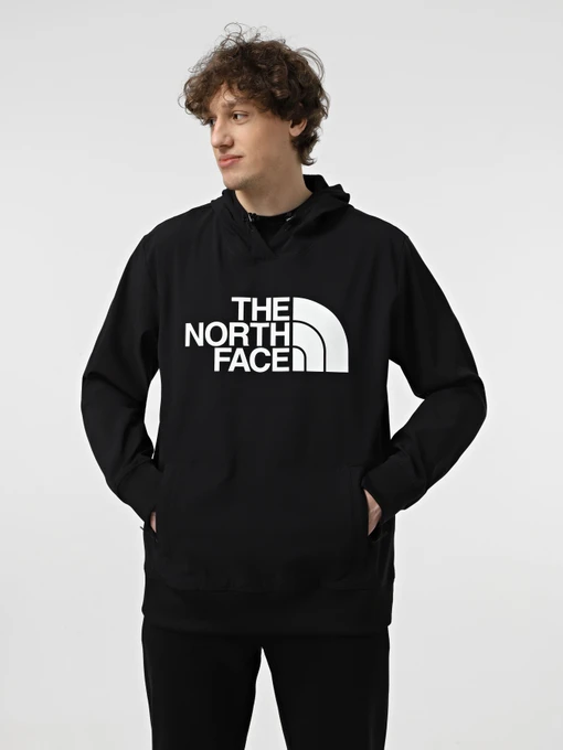 Худі та світшоти The North Face Tekno Logo модель NF0A82V64H01 Фото
