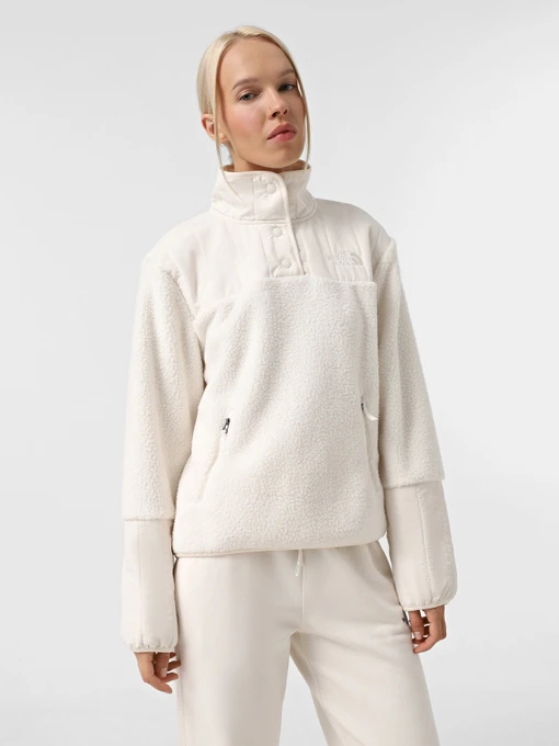 Худі та світшоти The North Face Cragmont Fleece модель NF0A84IBQLI1 Фото