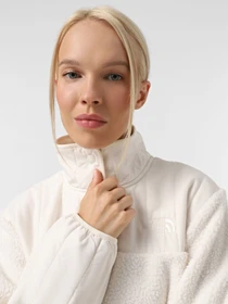 Худі та світшоти The North Face Cragmont Fleece модель NF0A84IBQLI1 Фото
