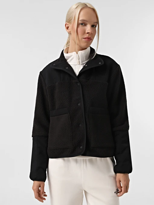 Худі та світшоти The North Face Cragmont Fleece модель NF0A84IEJK31 Фото