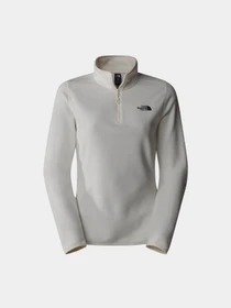 Худи и свитшоты The North Face 100 Glacier 1/4 Zip модель NF0A855M4HP1 Фото