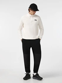 Худі та світшоти The North Face 100 Glacier 1/4 Zip модель NF0A855W4HP1 Фото