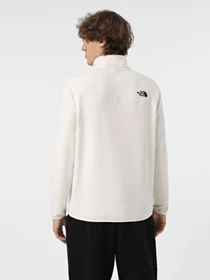 Худі та світшоти The North Face 100 Glacier 1/4 Zip модель NF0A855W4HP1 Фото