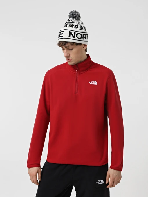 Худи и свитшоты The North Face 100 Glacier модель NF0A855W3RO1 Фото