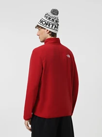 Худи и свитшоты The North Face 100 Glacier модель NF0A855W3RO1 Фото