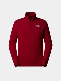 Худи и свитшоты The North Face 100 Glacier модель NF0A855W3RO1 Фото