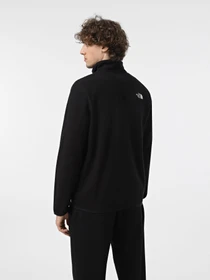 Худи и свитшоты The North Face 100 Glacier 1/4 Zip модель NF0A855W4H01 Фото