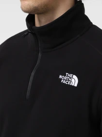 Худи и свитшоты The North Face 100 Glacier 1/4 Zip модель NF0A855W4H01 Фото