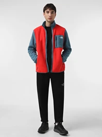 Худи и свитшоты The North Face Yumiori модель NF0A883R80I1 Фото