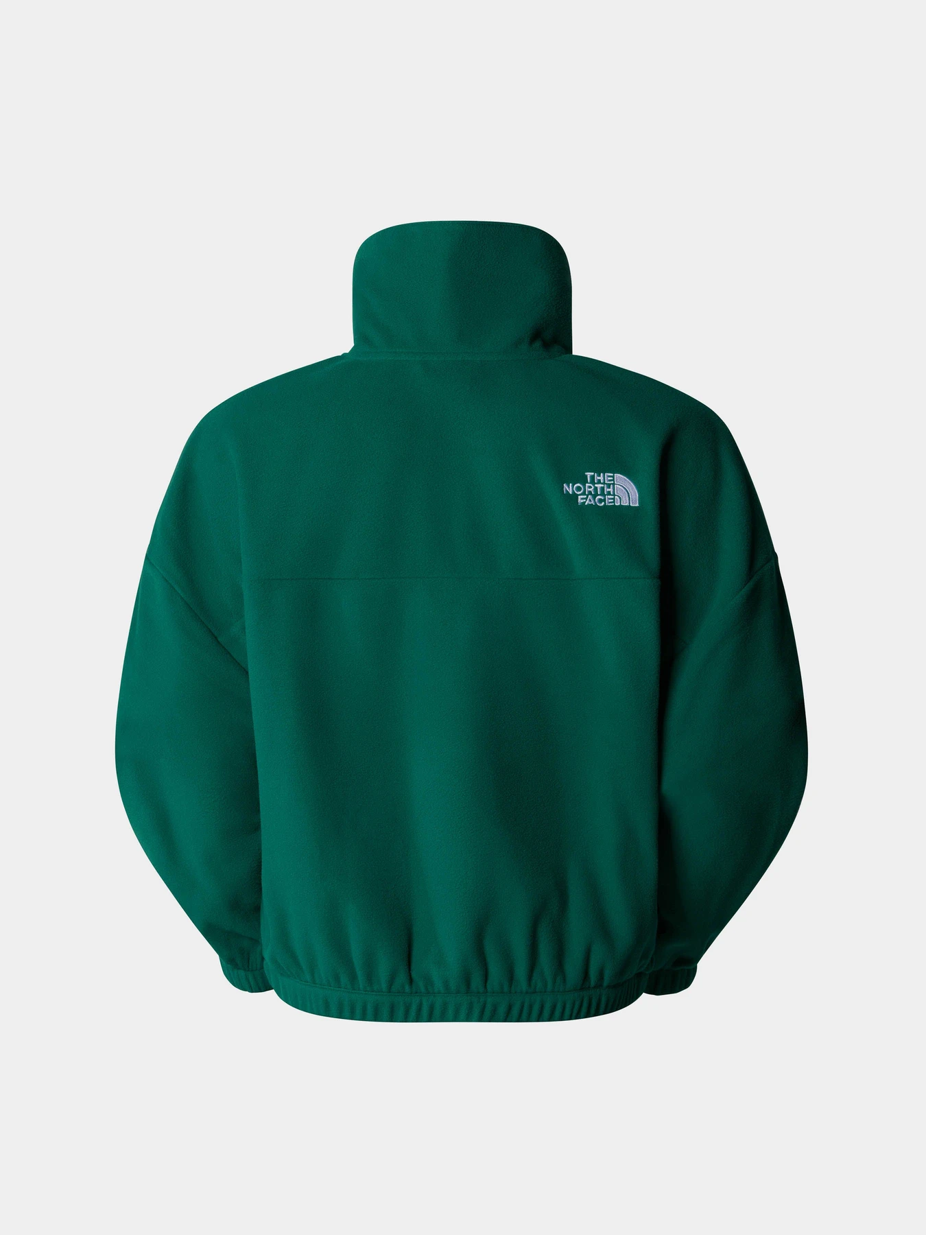 Худи и свитшоты The North Face 100 Glacier модель NF0A89J9NL11 Худи и свитшоты The North Face 100 Glacier модель NF0A89J9NL11 Фото