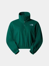 Худи и свитшоты The North Face 100 Glacier модель NF0A89J9NL11 Фото