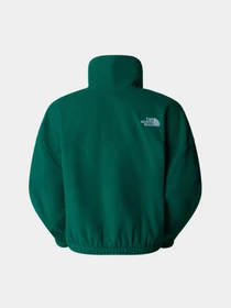 Худи и свитшоты The North Face 100 Glacier модель NF0A89J9NL11 Фото