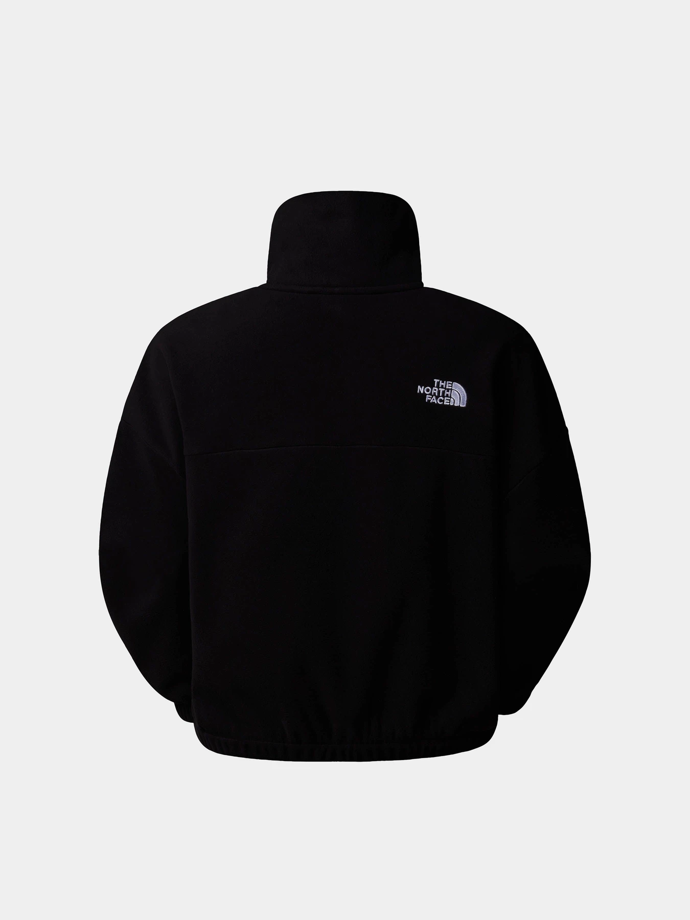 Худи и свитшоты The North Face 100 Glacier модель NF0A89J9JK31 Фото