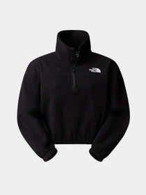 Худи и свитшоты The North Face 100 Glacier модель NF0A89J9JK31 Фото