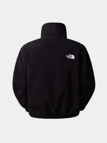 Худи и свитшоты The North Face 100 Glacier модель NF0A89J9JK31 Фото