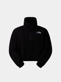 Худи и свитшоты The North Face 100 Glacier модель NF0A89J9JK31 Фото