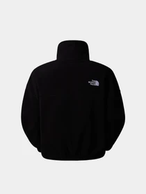 Худи и свитшоты The North Face 100 Glacier модель NF0A89J9JK31 Фото