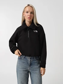 Худи и свитшоты The North Face 100 Glacier модель NF0A89J9JK31 Фото