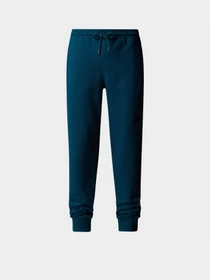Брюки The North Face модель NF0A4SVQ1NO1 Фото