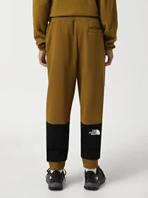 Штани The North Face Icons модель NF0A87DQ5HO1 Фото