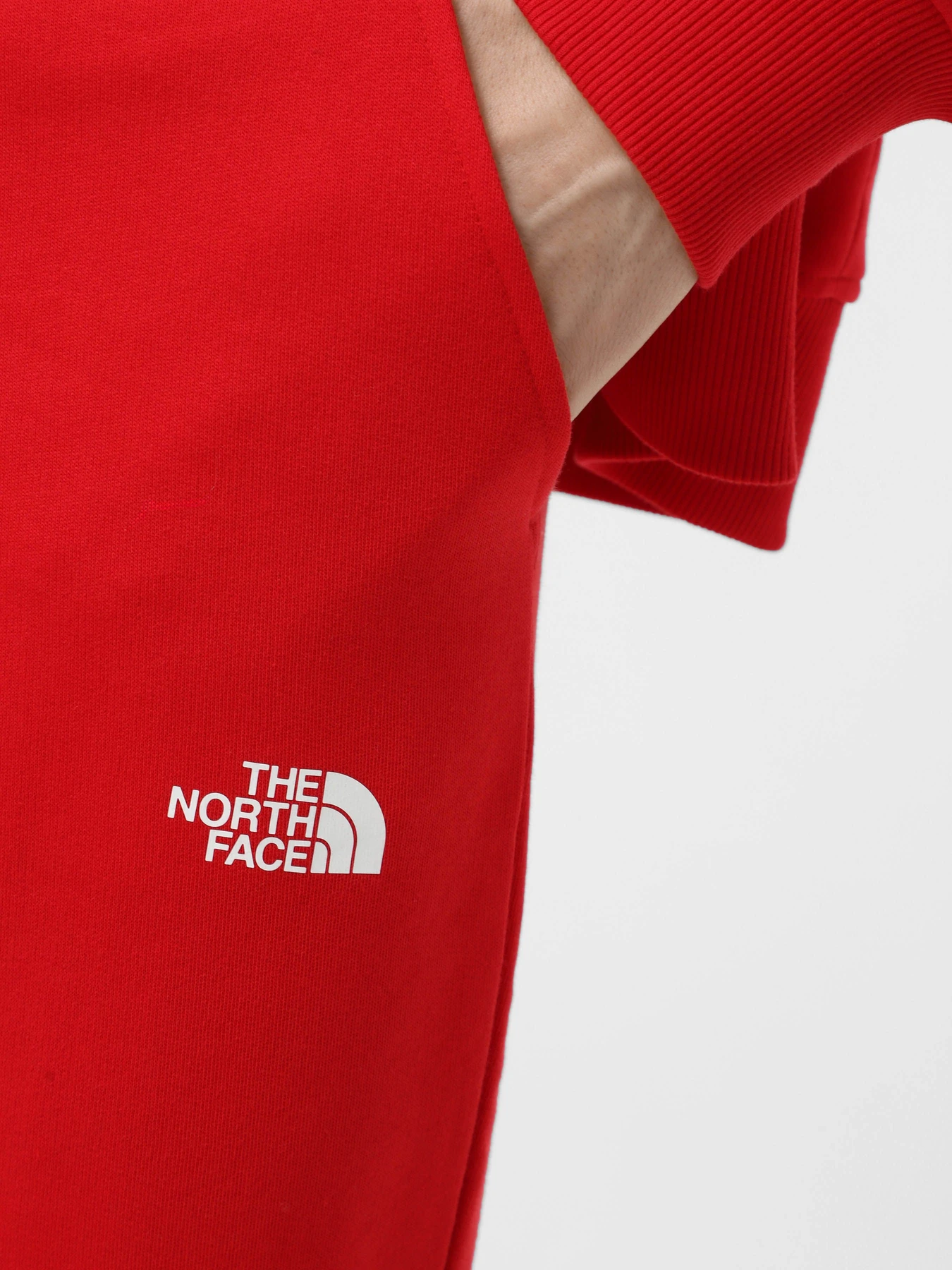 Брюки The North Face Icons модель NF0A87DQKZ31 Брюки The North Face Icons модель NF0A87DQKZ31 Фото