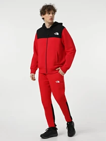 Брюки The North Face Icons модель NF0A87DQKZ31 Фото