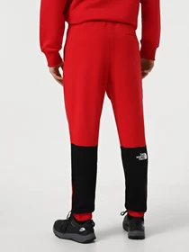 Брюки The North Face Icons модель NF0A87DQKZ31 Фото