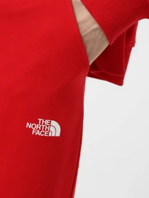 Брюки The North Face Icons модель NF0A87DQKZ31 Фото