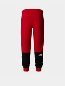 Брюки The North Face Icons модель NF0A87DQKZ31 Фото