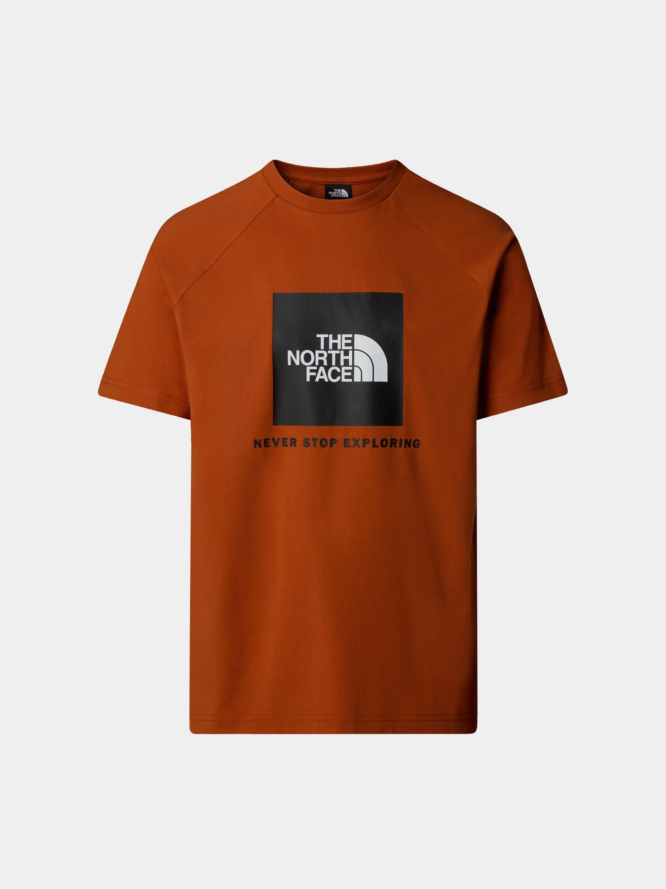 Футболки и поло The North Face Raglan Redbox модель NF0A87NJ1I01 Фото