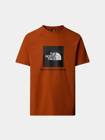Футболки и поло The North Face Raglan Redbox модель NF0A87NJ1I01 Фото