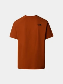 Футболки и поло The North Face Raglan Redbox модель NF0A87NJ1I01 Фото