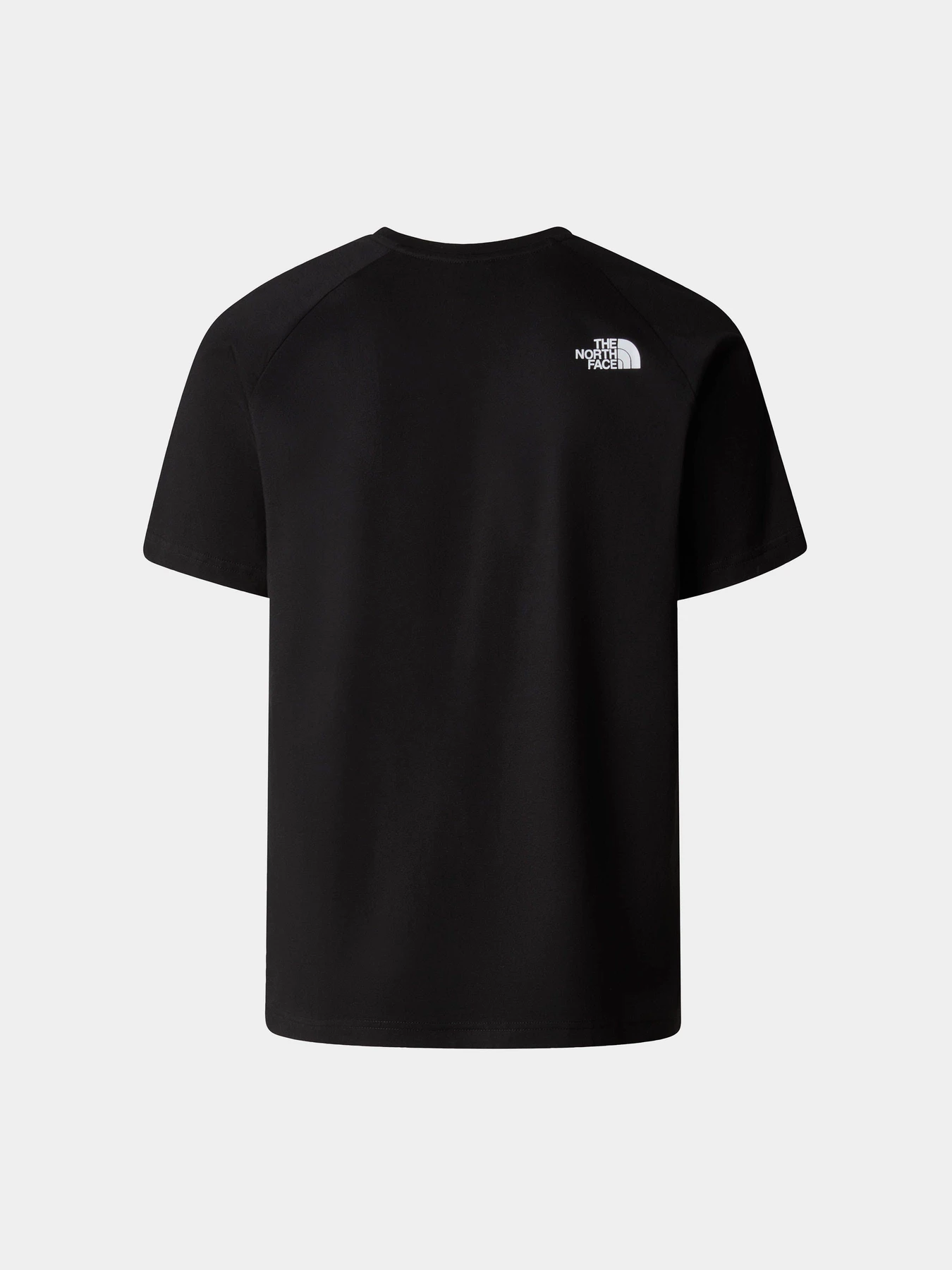 Футболки і поло The North Face Raglan Redbox модель NF0A87NJJK31 Фото